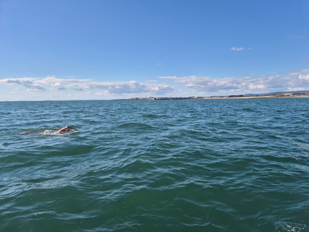Swim update photo