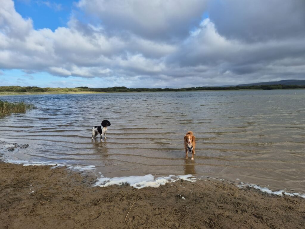 Swim update photo